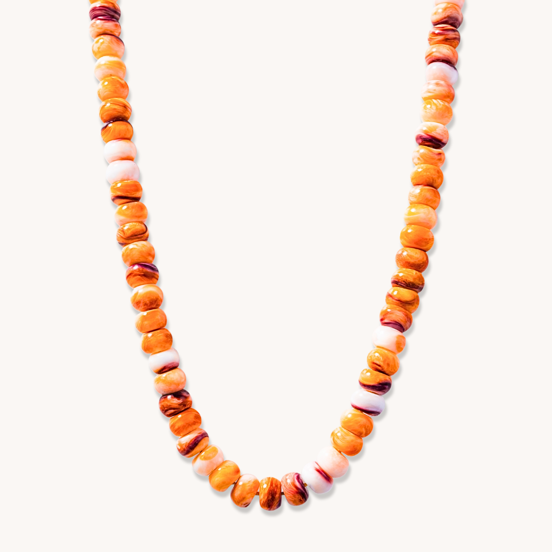 Lions Paw Beaded Necklace