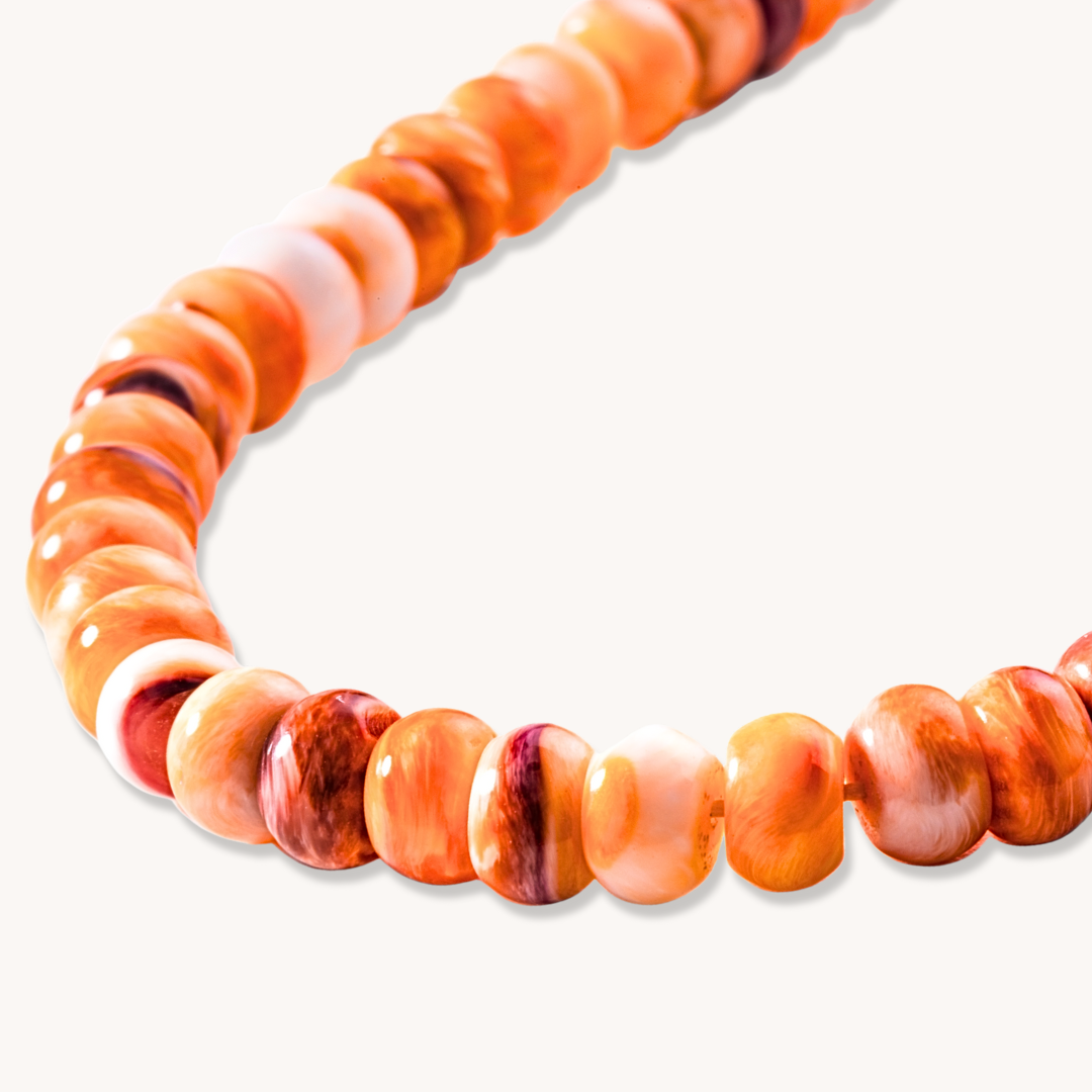 Lions Paw Beaded Necklace