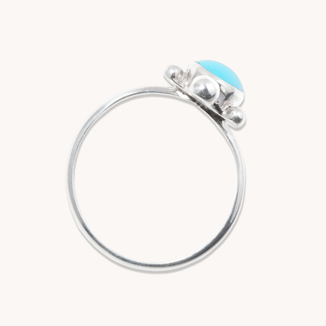 Women's Turquoise Turtle Ring