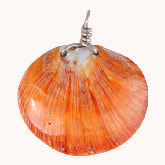Big Orange Spiny Oyster Pendant